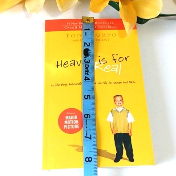Todd Burpo HEAVEN IS FOR REAL PAPERBACK BOOK - Picture 9 of 11